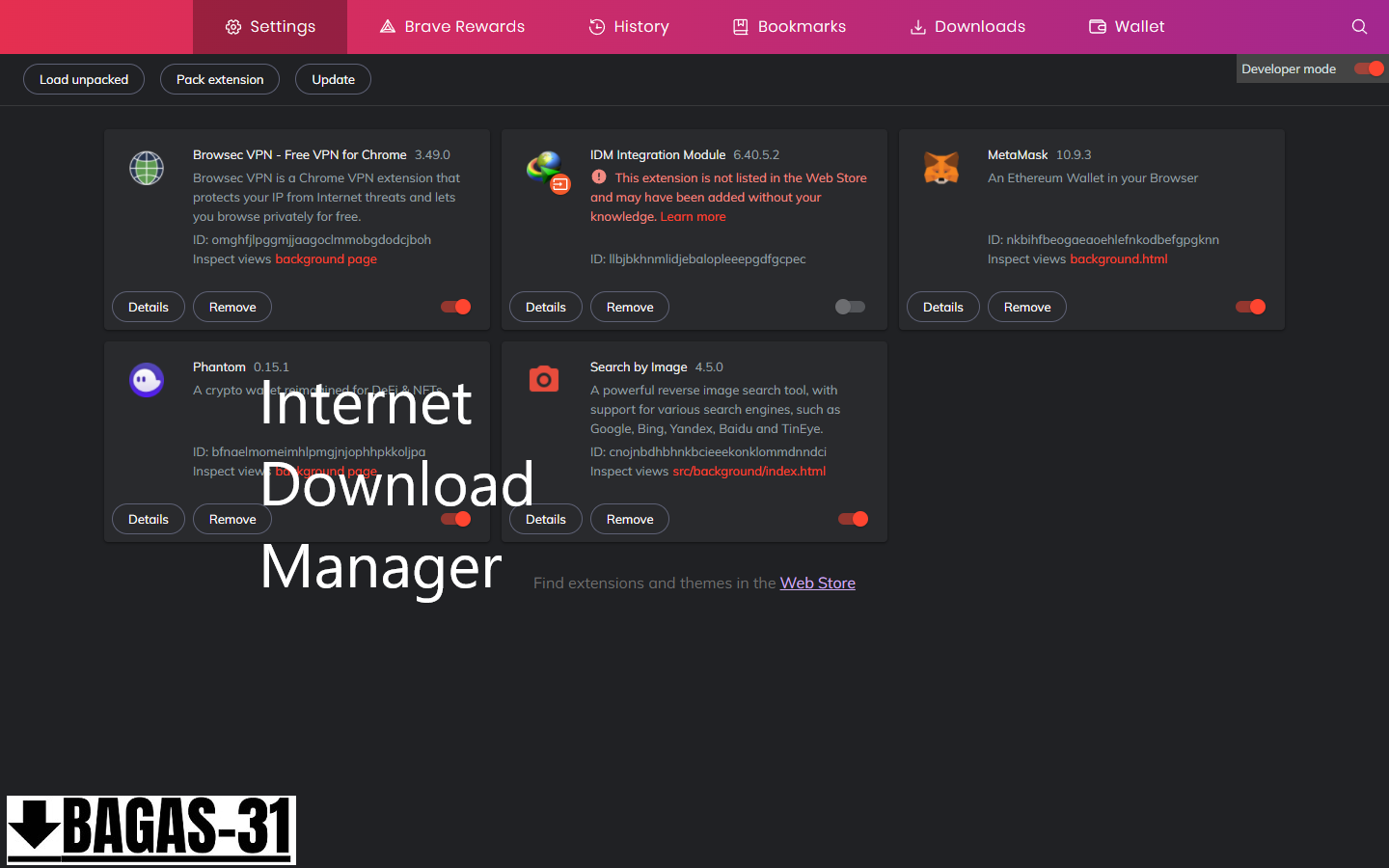 Internet Download Manager (IDM) 6.42.23 Gratis