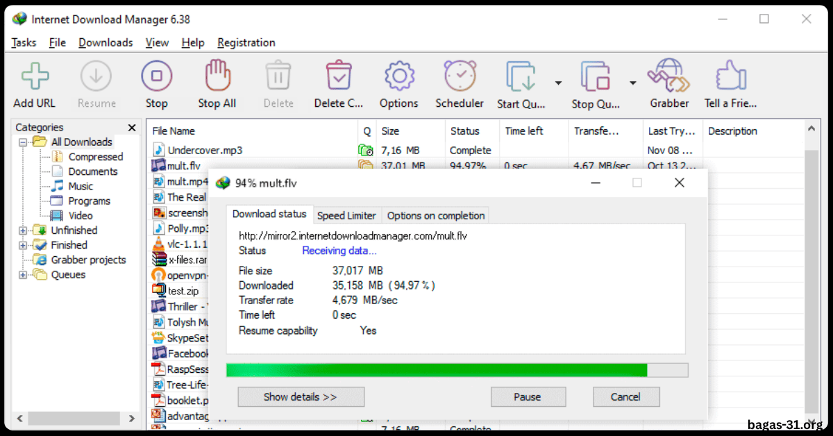IDM Full Version Bagas31